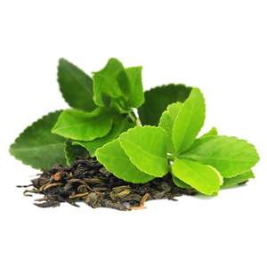 Vediva Fat Cutter Ingredient Green Tea Extract